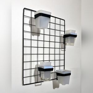 Plant Wall Display 🪴